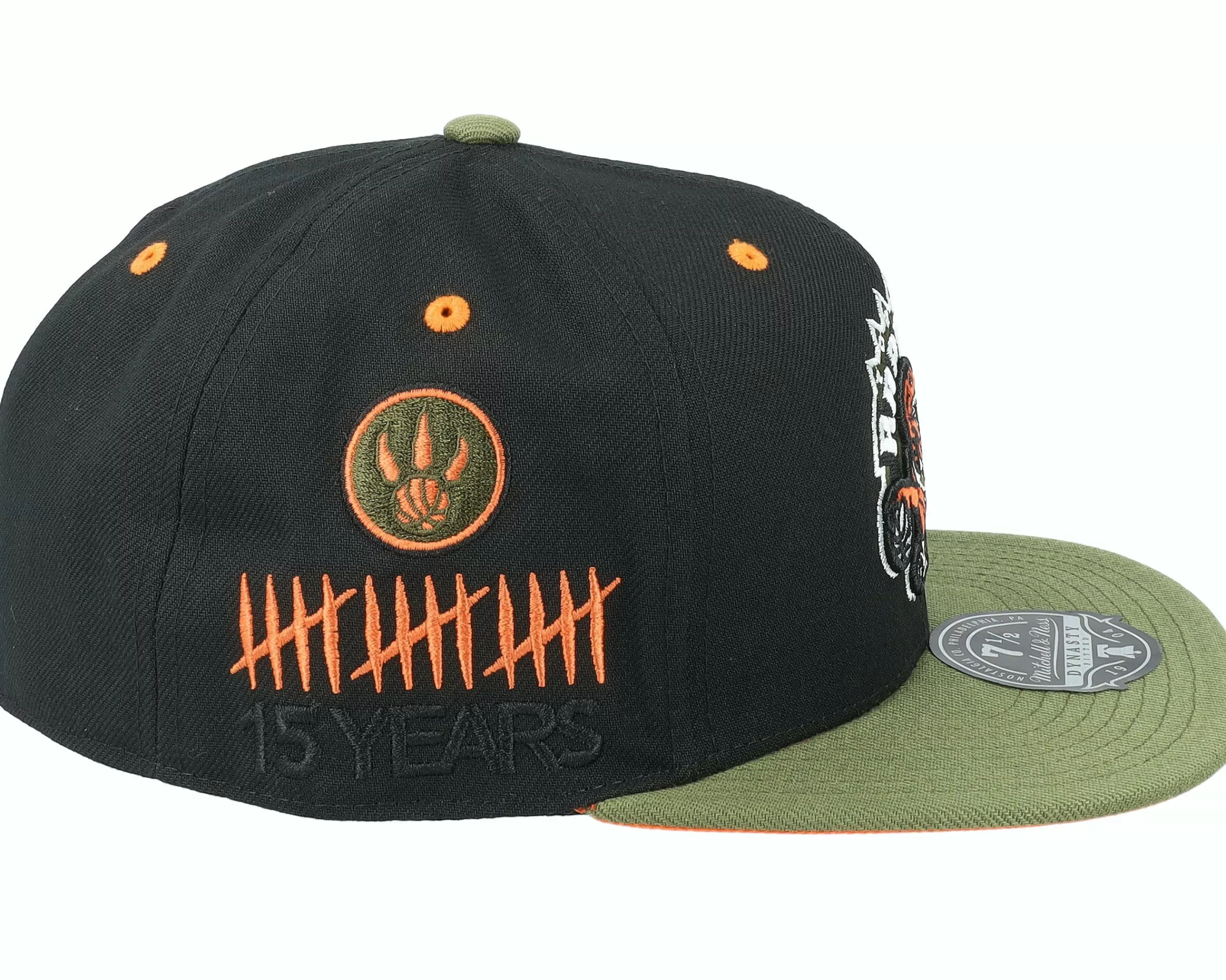 Mitchell & Ness Toronto Raptors Take Flight Black/Green Fitted - -Unisex Fitted